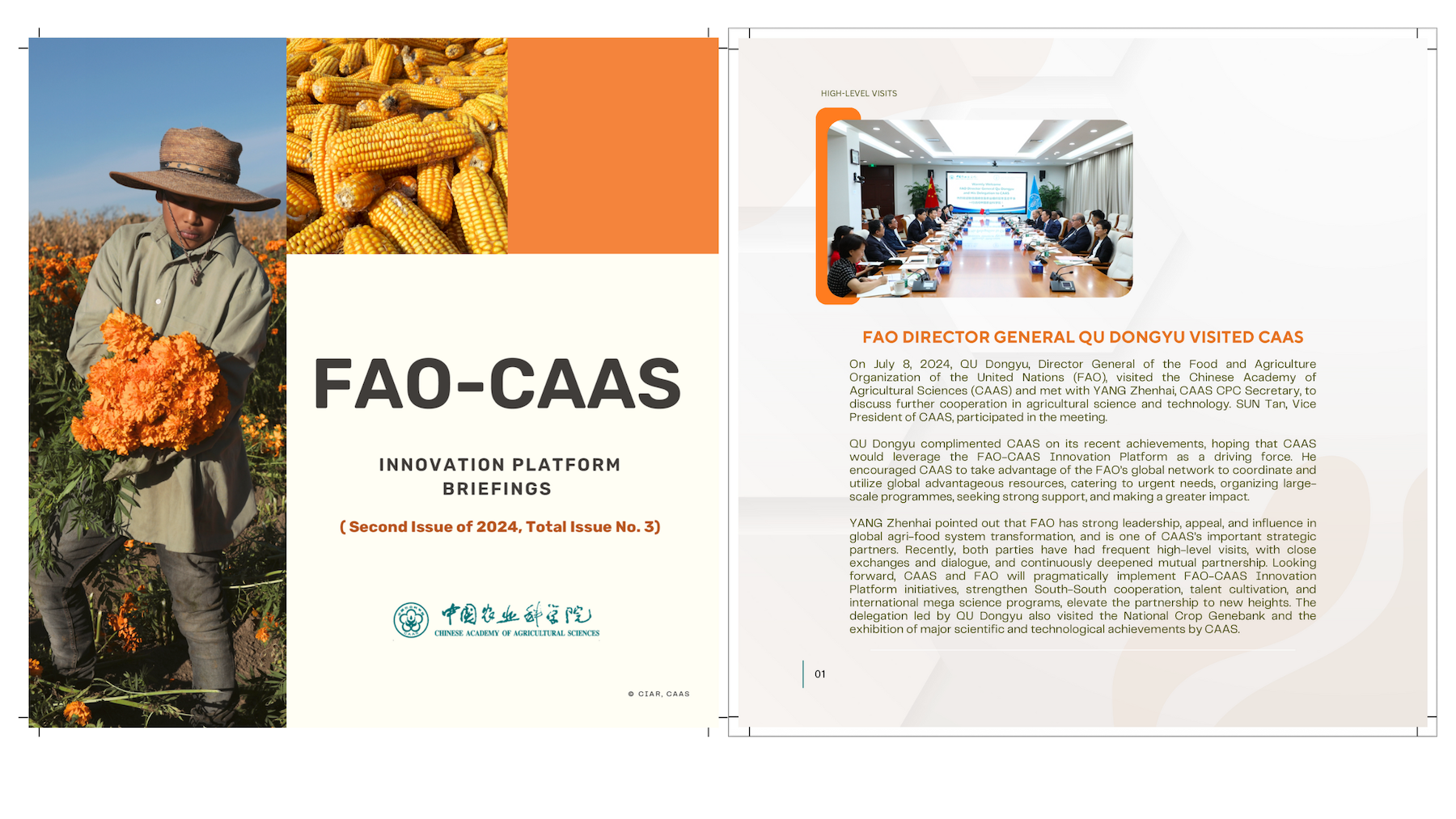 ciar网站知识产品尺寸.png